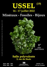 1er SALON Minéraux Fossiles Bijoux de USSEL (Corrèze). Du 16 au 17 juillet 2022 à USSEL. Correze.  10H00